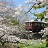夙川の桜と阪急電車２０２３－１