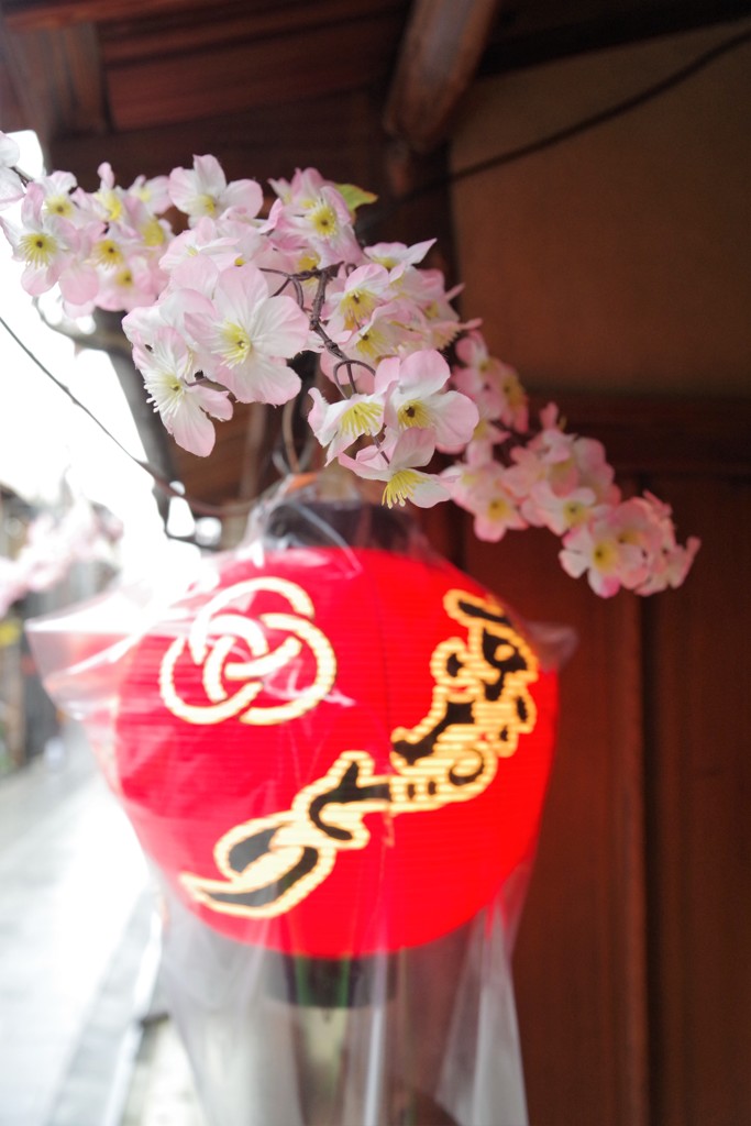 造花と提灯