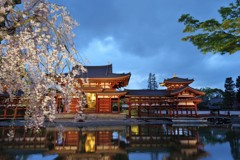 夜小雨の平等院