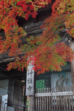 秋浅の神護寺