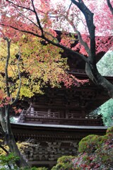 待龍塔の秋