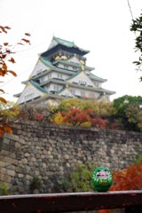 大阪城の紅葉とだるま