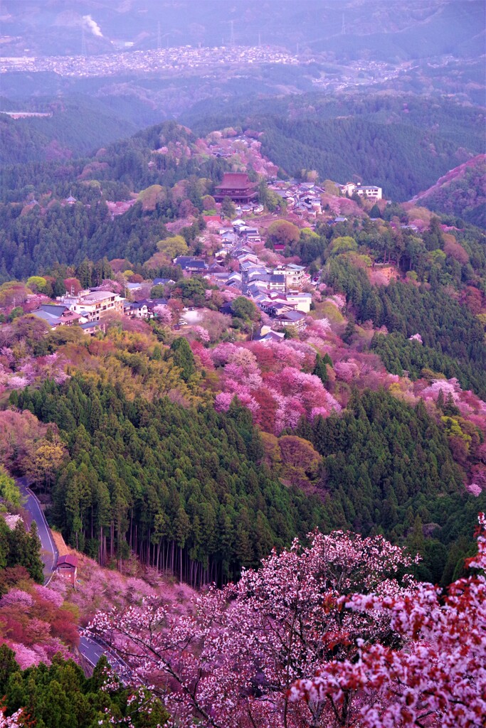 金峯山寺の眺め2