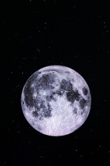 アメリカ館より　月