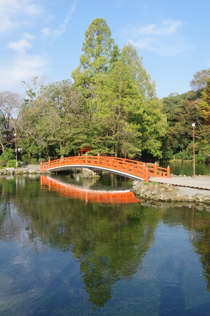 湧玉池の朝