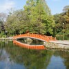 湧玉池の朝