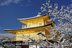 2017.2.11金閣寺