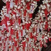 子宝お礼参り