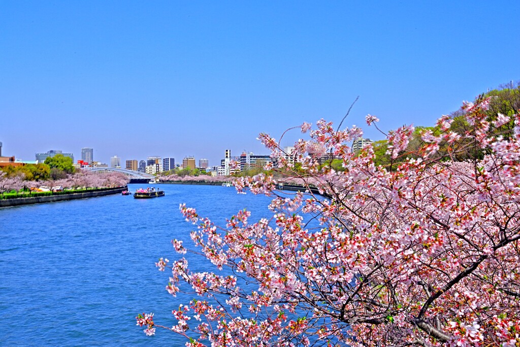 川崎橋からの眺望