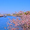 川崎橋からの眺望