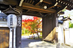 青蓮院門跡の秋