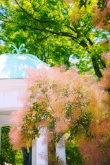 木陰で和む