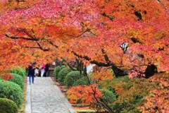 一休寺参道を歩く