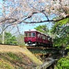阪急甲陽線の桜2