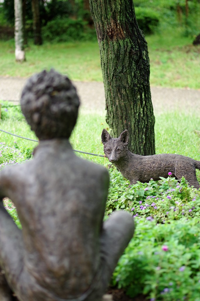 狐と少年