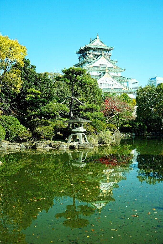 大阪城日本庭園から