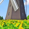 暑い夏