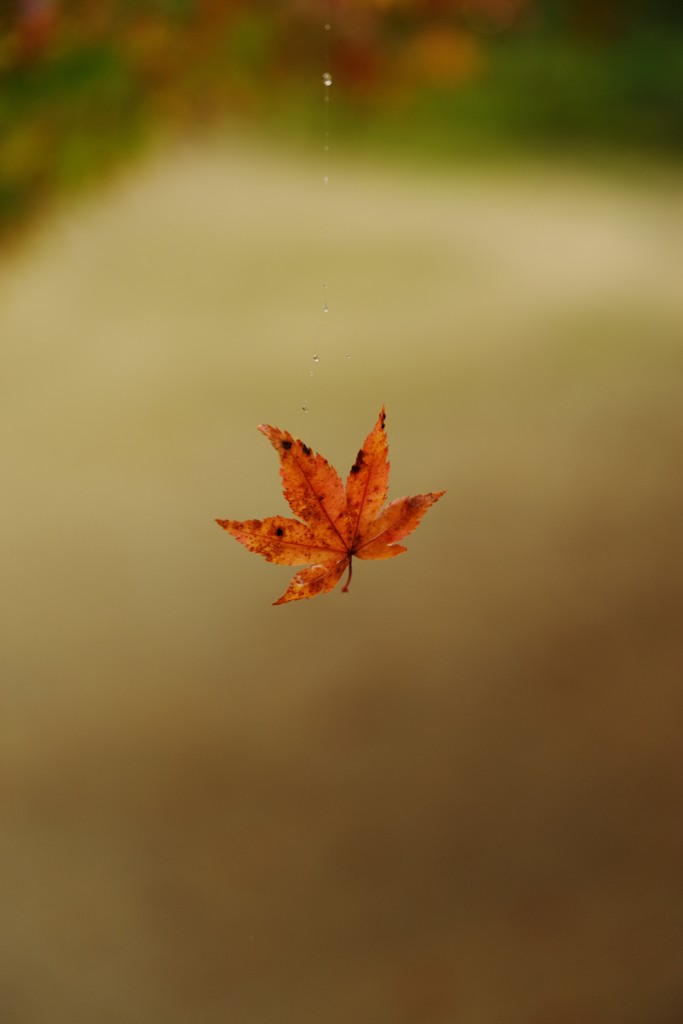 空中浮遊
