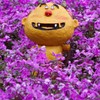 芝桜に囲まれて