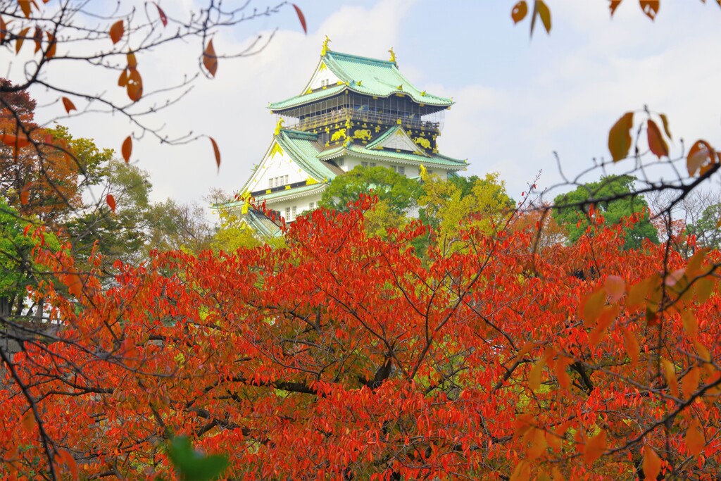 大阪城の紅葉1