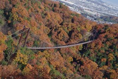 紅葉の中「星のブランコ」