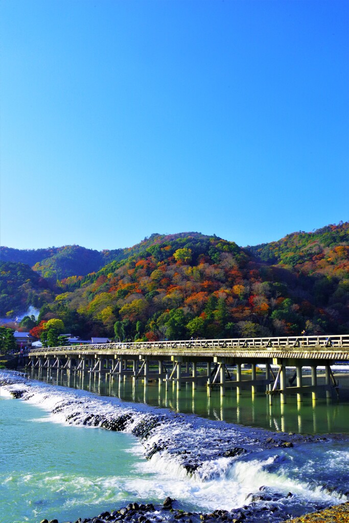 心癒やされる渡月橋