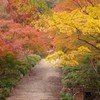 勝尾寺の秋2017.11