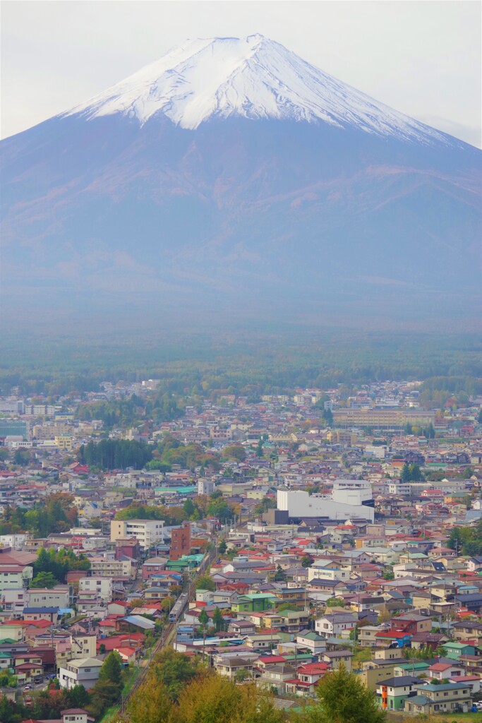 富士山と電車