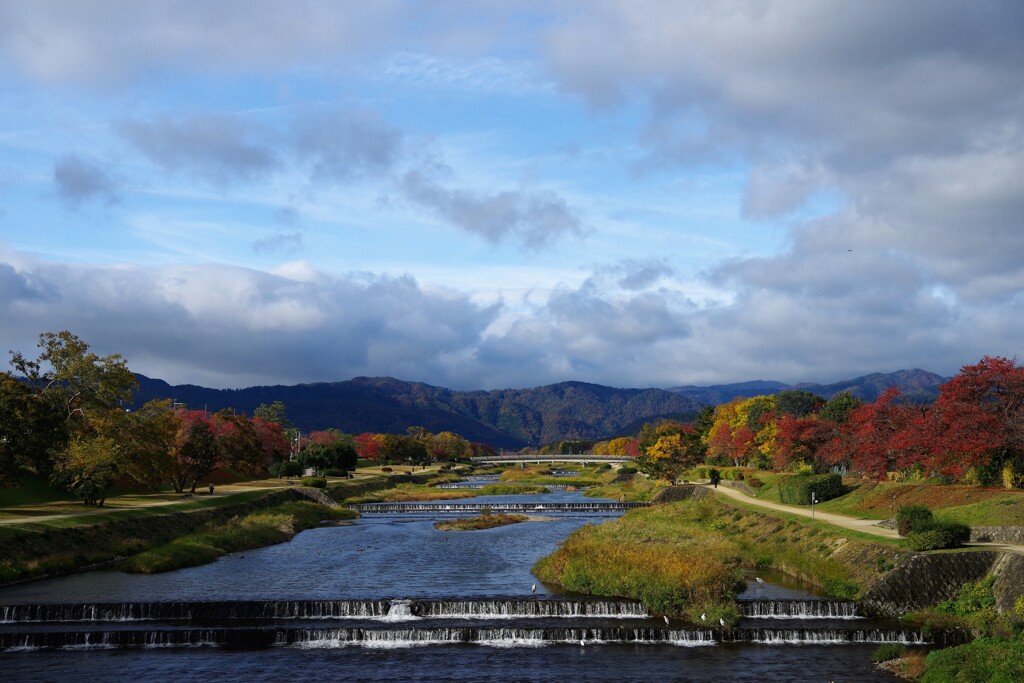 賀茂川葵橋から望む