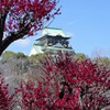 2017.2.19大阪城梅園