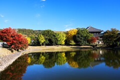 少し離れればこの景色