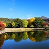 少し離れればこの景色