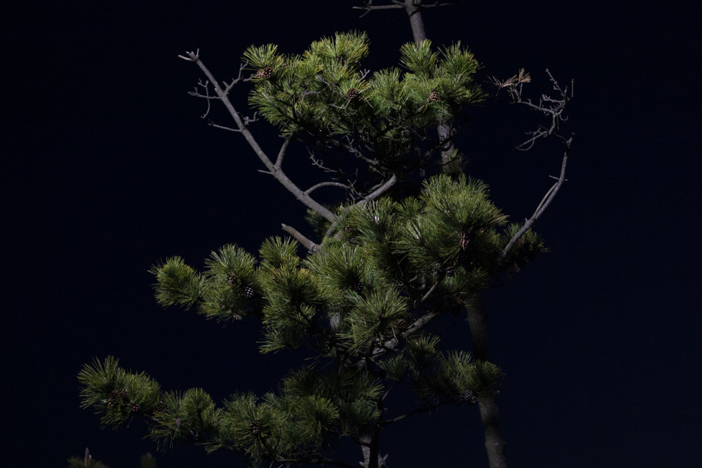 闇の中