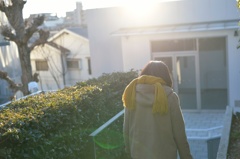 優しい陽射し