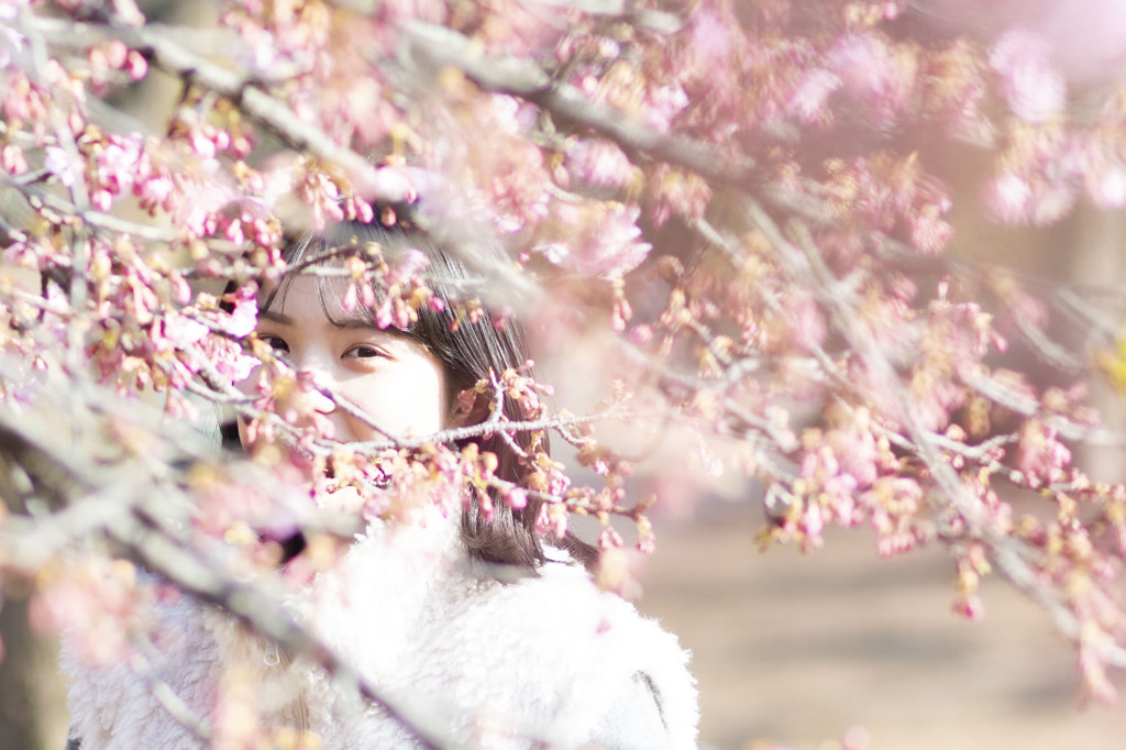 春の音
