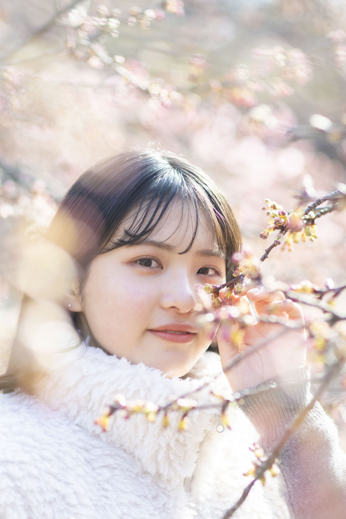 春風の君へ