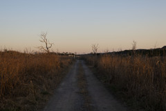 路