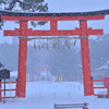 '18/1/25 Snow