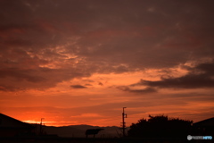 紅