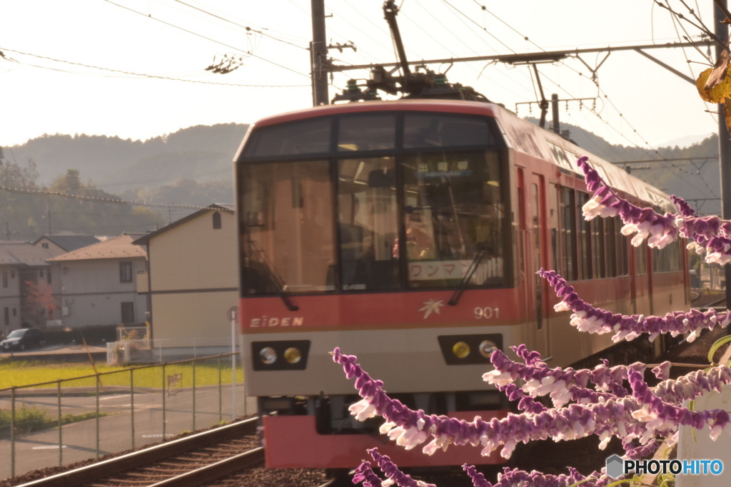 花と叡電