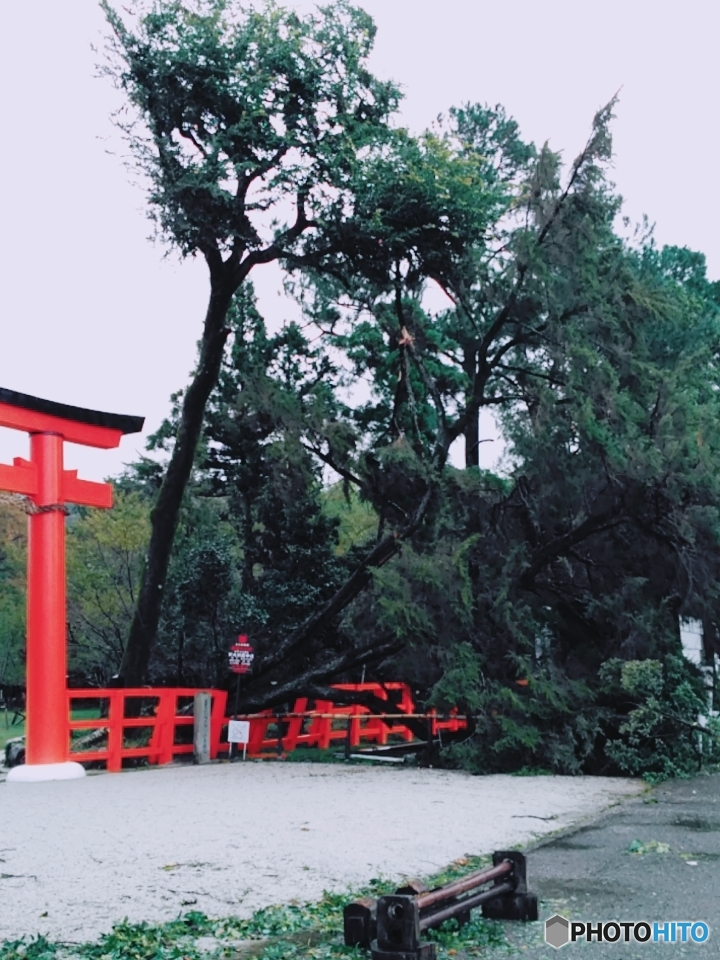 台風21号