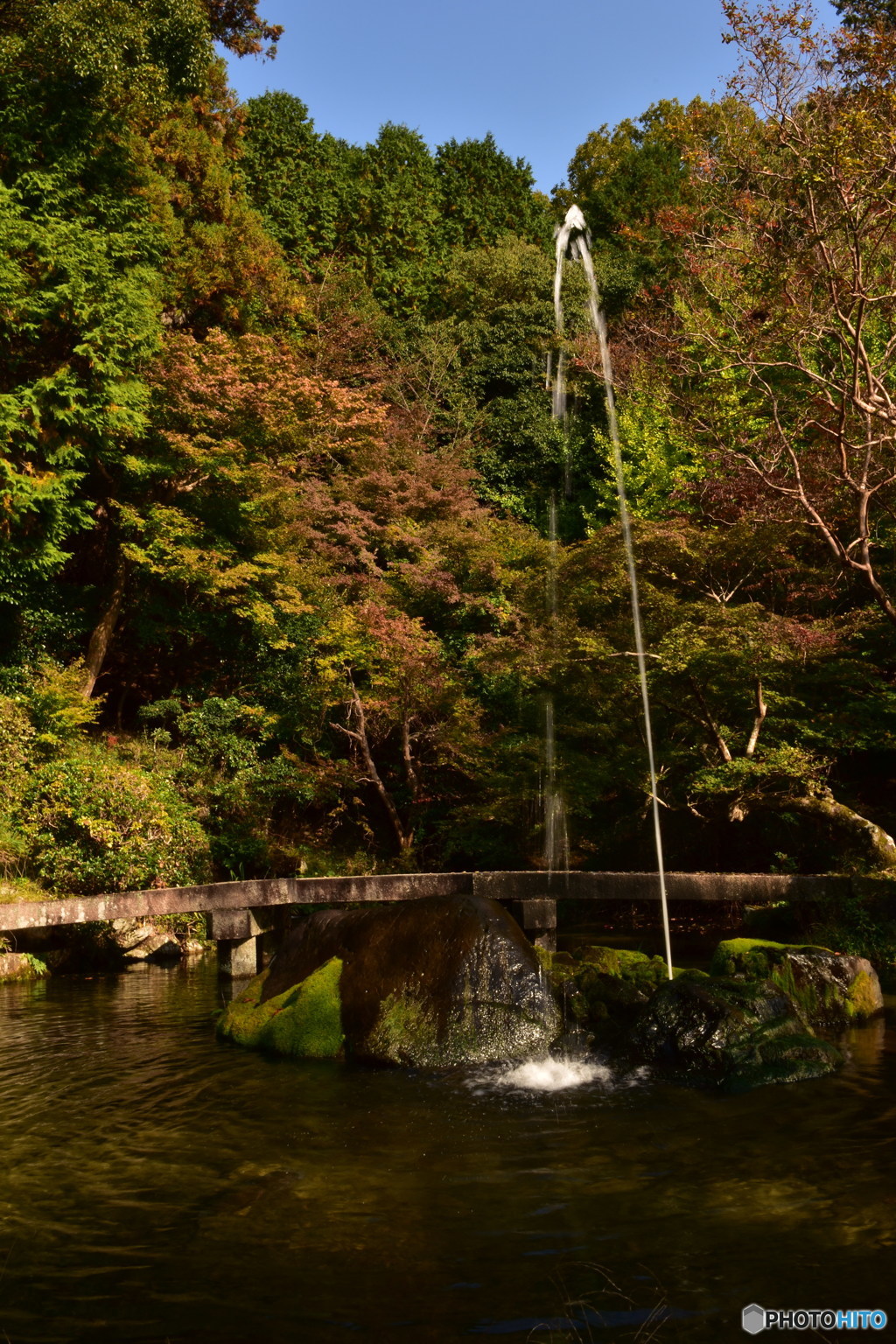 紅葉と噴水