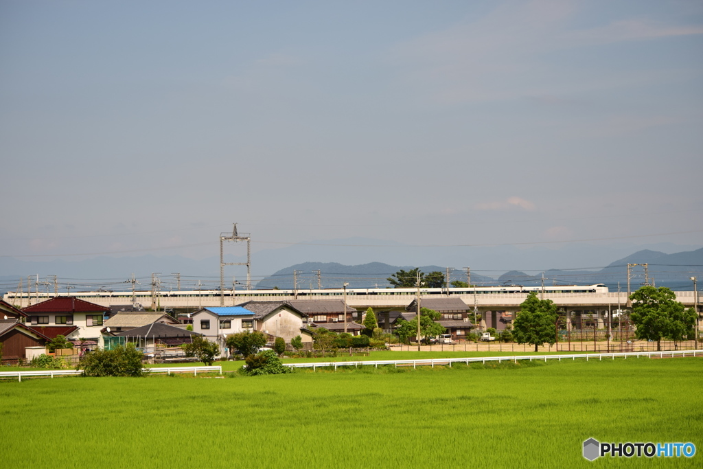 田園を駆け抜ける