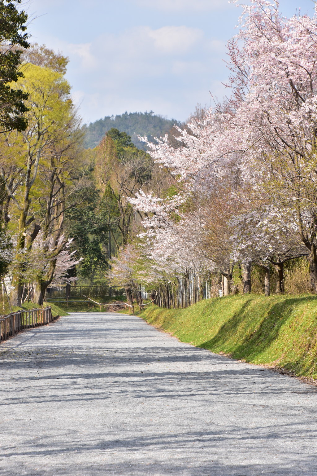 神山