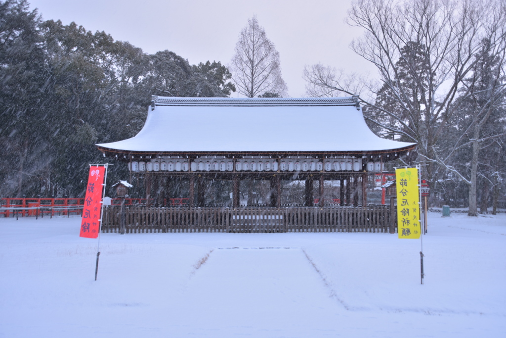 '18/1/25 Snow ②