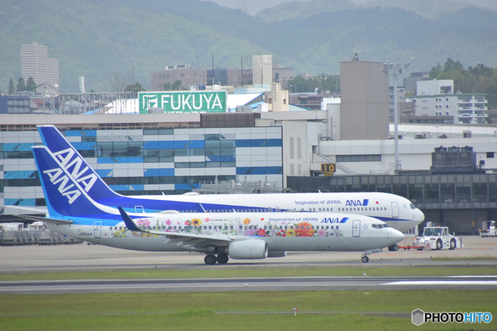 ITM 兄弟