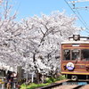 嵐電の桜のトンネル