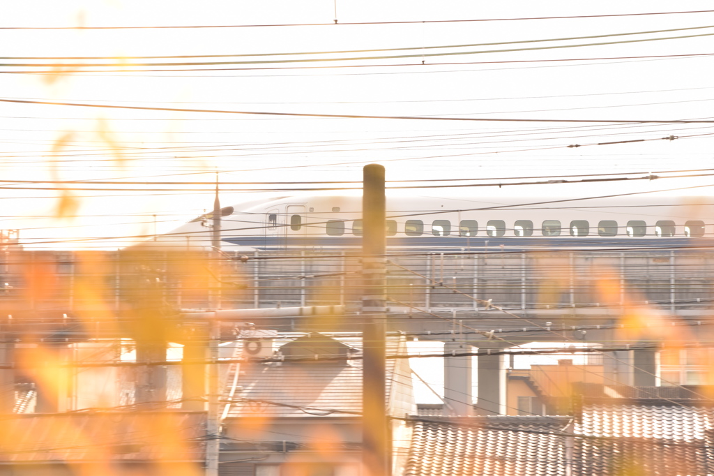 梅小路公園にてN700系