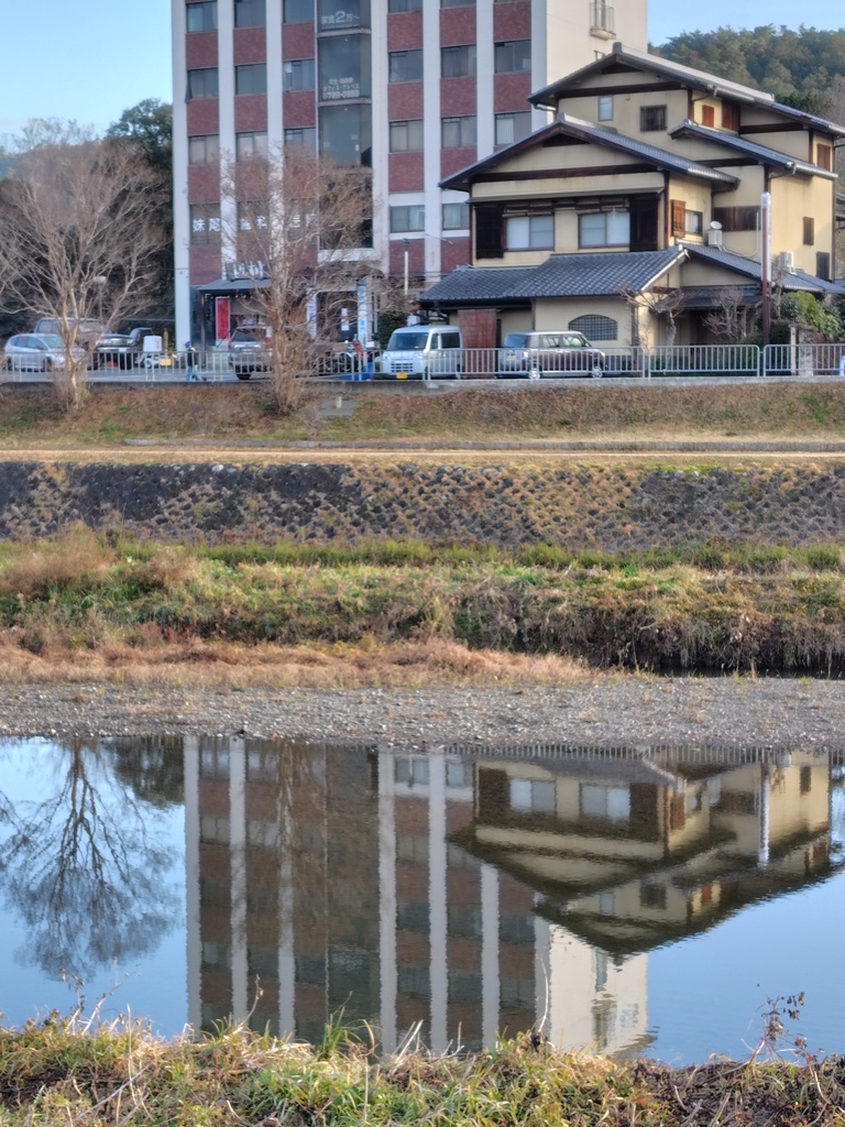 反射してる