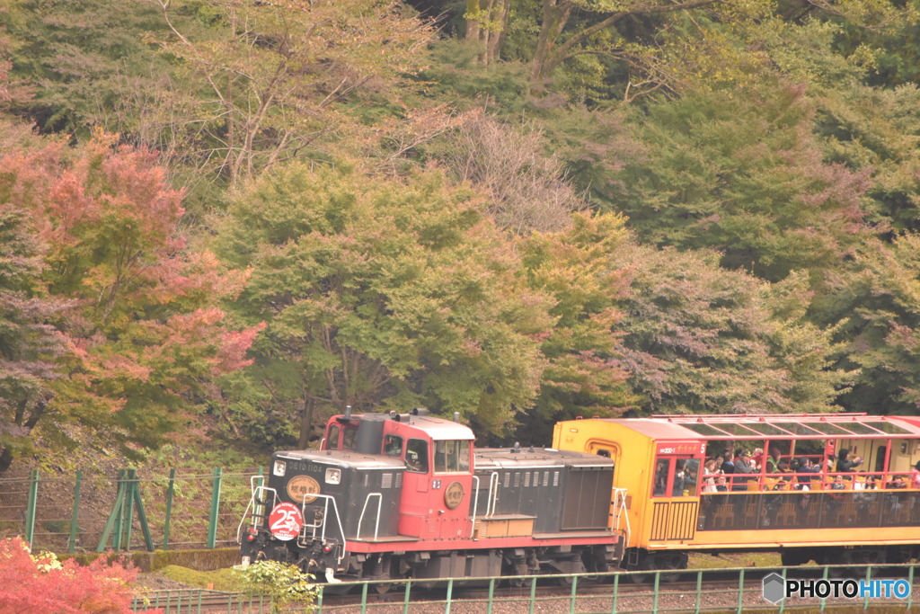トロッコ列車と紅葉
